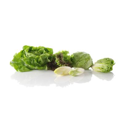 HENDI 222553 | Odstředivka na salát, HENDI, 12L, Zelená, ⌀335x(H)430mm