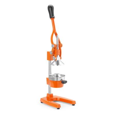 BARUP 695906 | Lis na citrusy, BarUp