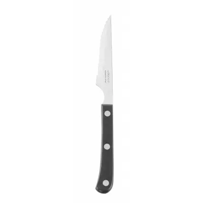 Steakový nůž, řada STEAK BASIC, Arcos, STEAK BASIC, Černá, (L)225mm | 374800