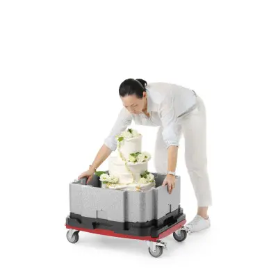 Multifunkční izolovaná nádoba Cam GoBox, Cambro, Světle šedá, 641x641x(H)754mm | EPPMFBE122110