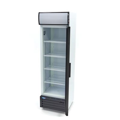 Lednice na nápoje 360L | MAXIMA 09404020