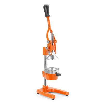 Lis na citrusy GSS | HENDI 695906