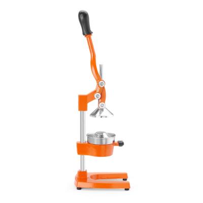 Lis na citrusy GSS | HENDI 695906