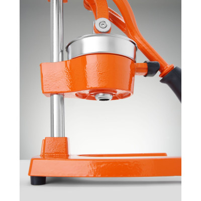 Lis na citrusy, BarUp, 225x180x(H)510mm | 695906