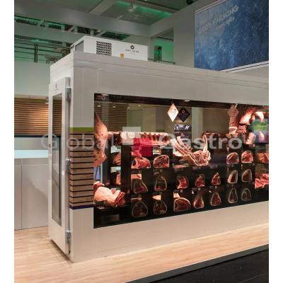 Jednotka vestavná zrácí pro box | Dry Ager 5460637