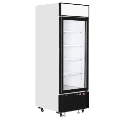 Mrazicí skříň prosklené dveře LGF2500 | TEFCOLD | 54984