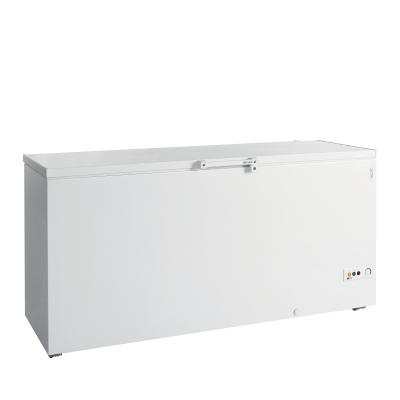 Mraznička na zmrzlinu plné víko FR 605 SL | TEFCOLD 16179