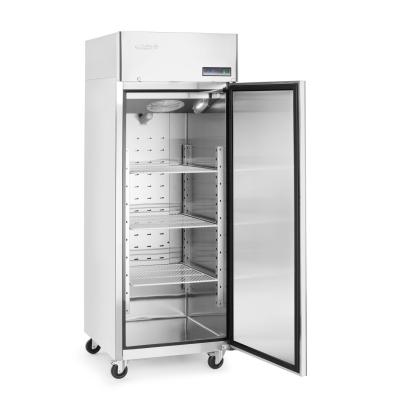 ARKTIC 232118 | Lednice, jednodveřová, Arktic, Profi Line, 455L