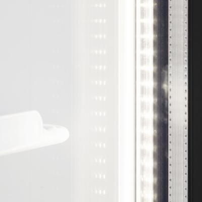 TEFCOLD 48872 | Chladicí skříň prosklené kř. dveře | FSC 891 H