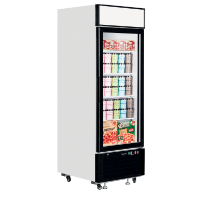 TEFCOLD 54984 | Mrazicí skříň prosklené dveře | LGF2500
