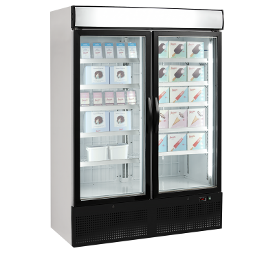 TEFCOLD 16193 | Mrazicí skříň prosklené křídlové dveře | NF 5000 G