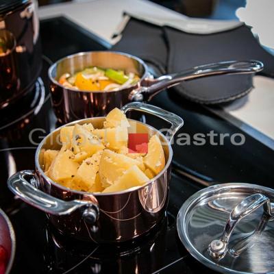 SPRING 405235600423 | Hrnec SPRING Culinox s poklicí 3,5 l